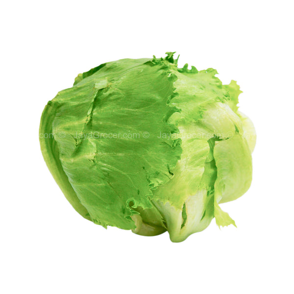 Paprika Farm Lettuce Iceberg (Malaysia) 380g (highest price)