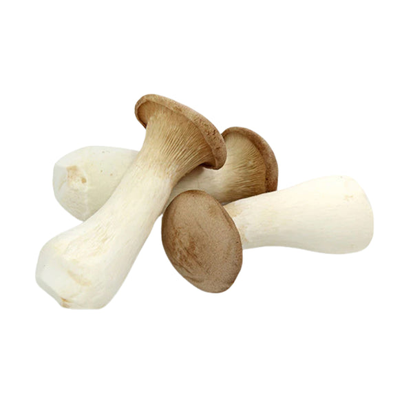 King Oyster Mushroom (China) 200g (highest price)