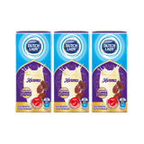 Dutch Lady Kurma UHT Milk 200ml x 6