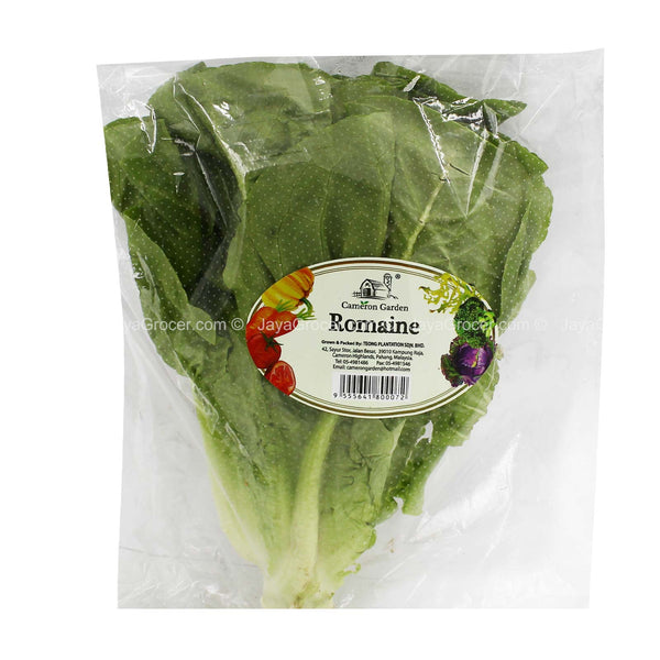 Cameron Garden Romaine Lettuce 220g (highest price)