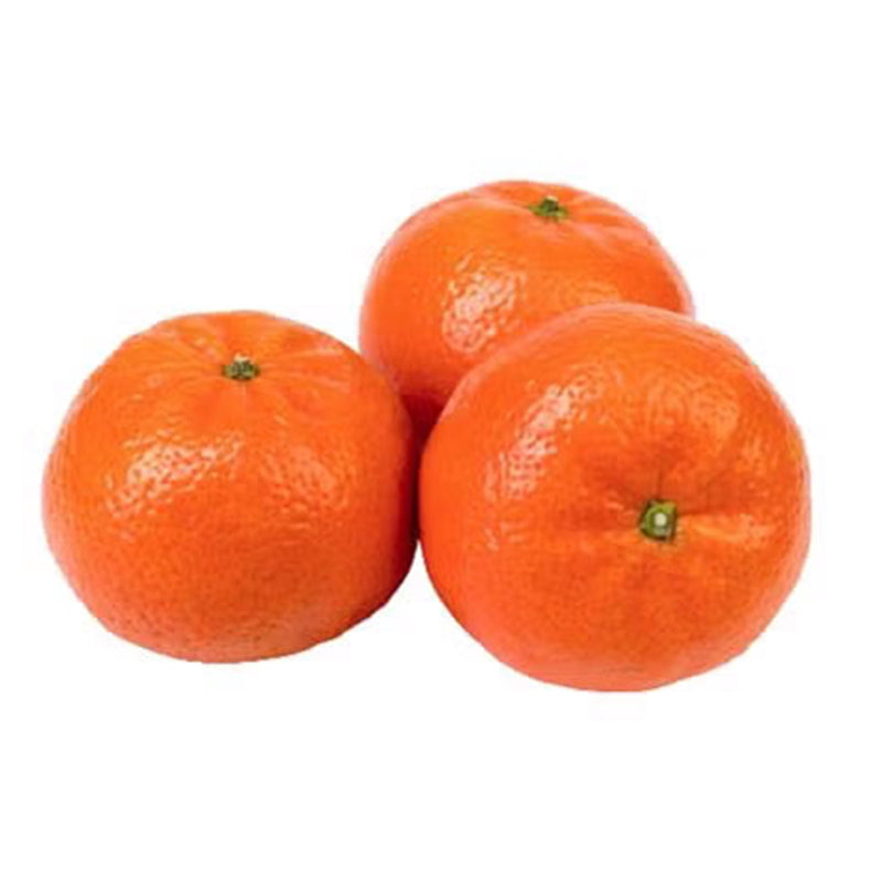 Nadorcott Mandarin (South Africa) 800g