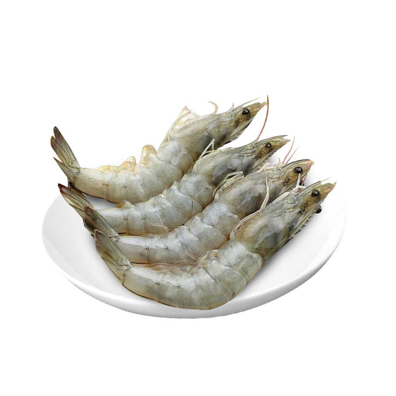 White Prawn/Udang Minyak Putih L 300g+/-