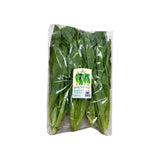Greenstable Lettuce Baby Yau Mak (China) 200g