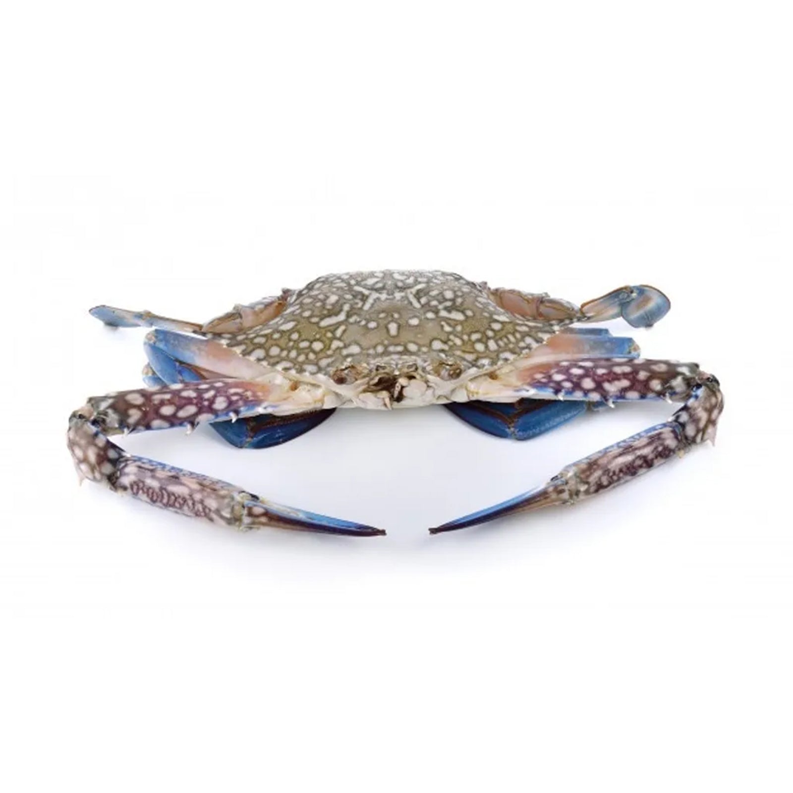 Frozen Ketam Bunga 500g/pack