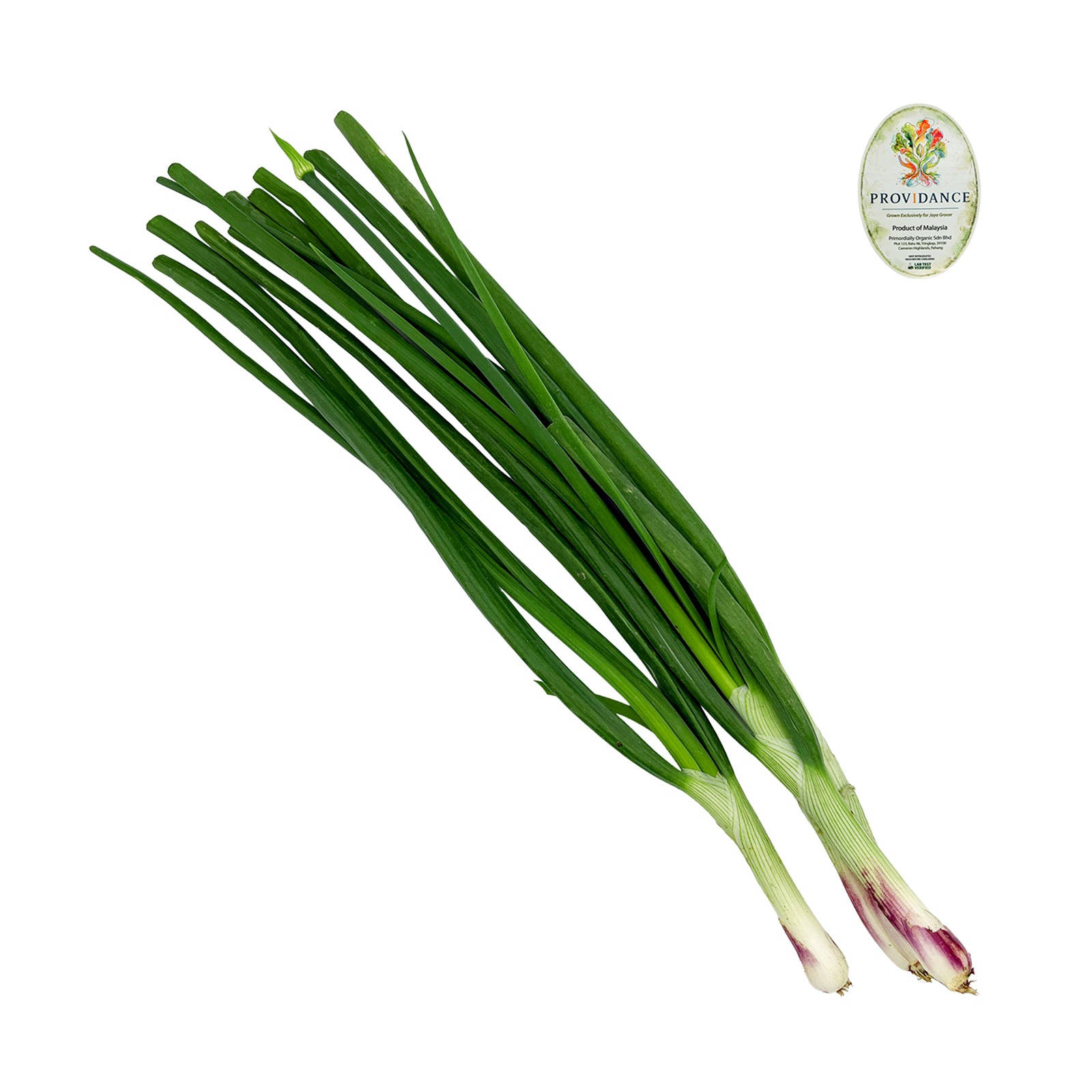 Spring Onion (Daun Bawang) (Malaysia) 80g