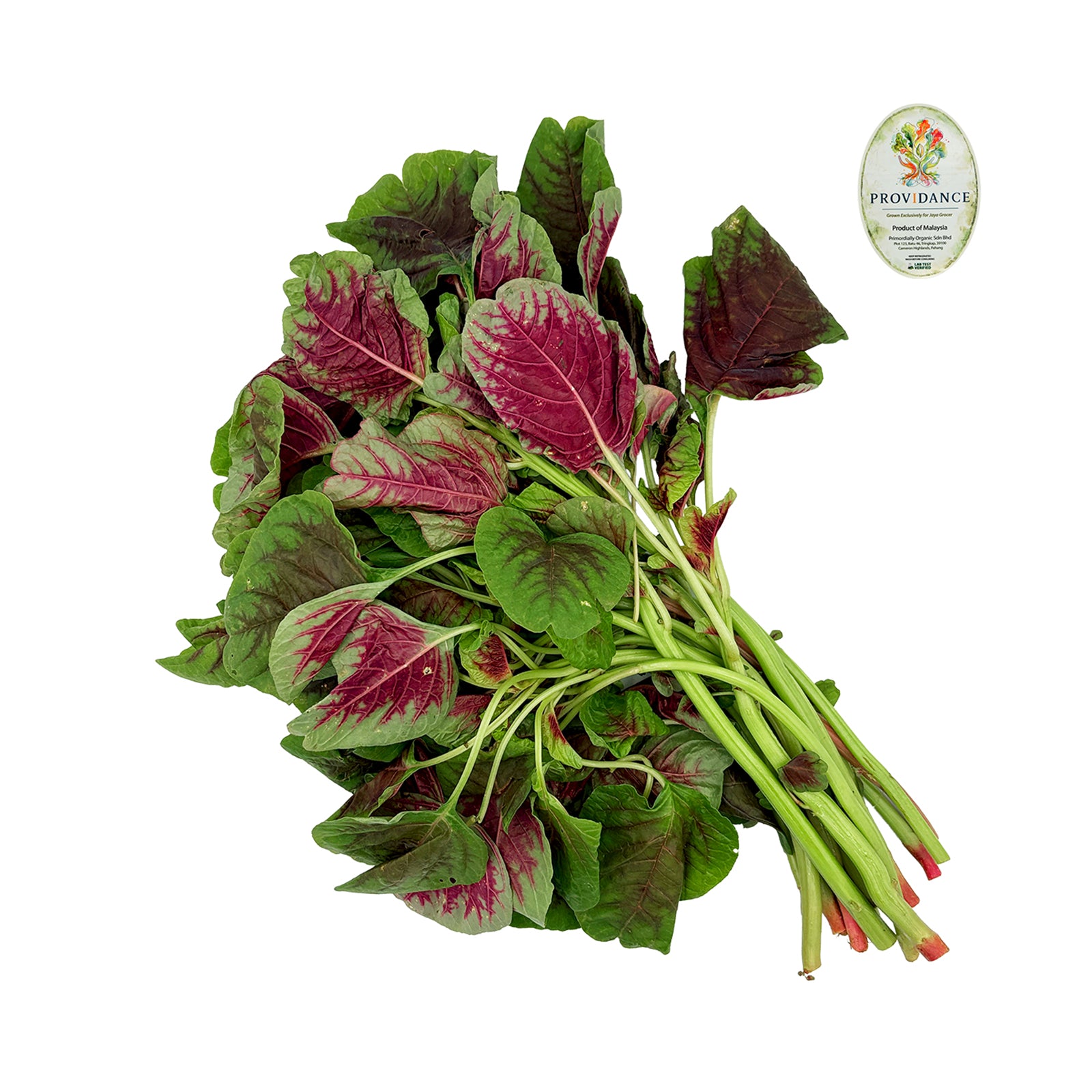 Po Spinach Mix Green/Red (Malaysia) 250g