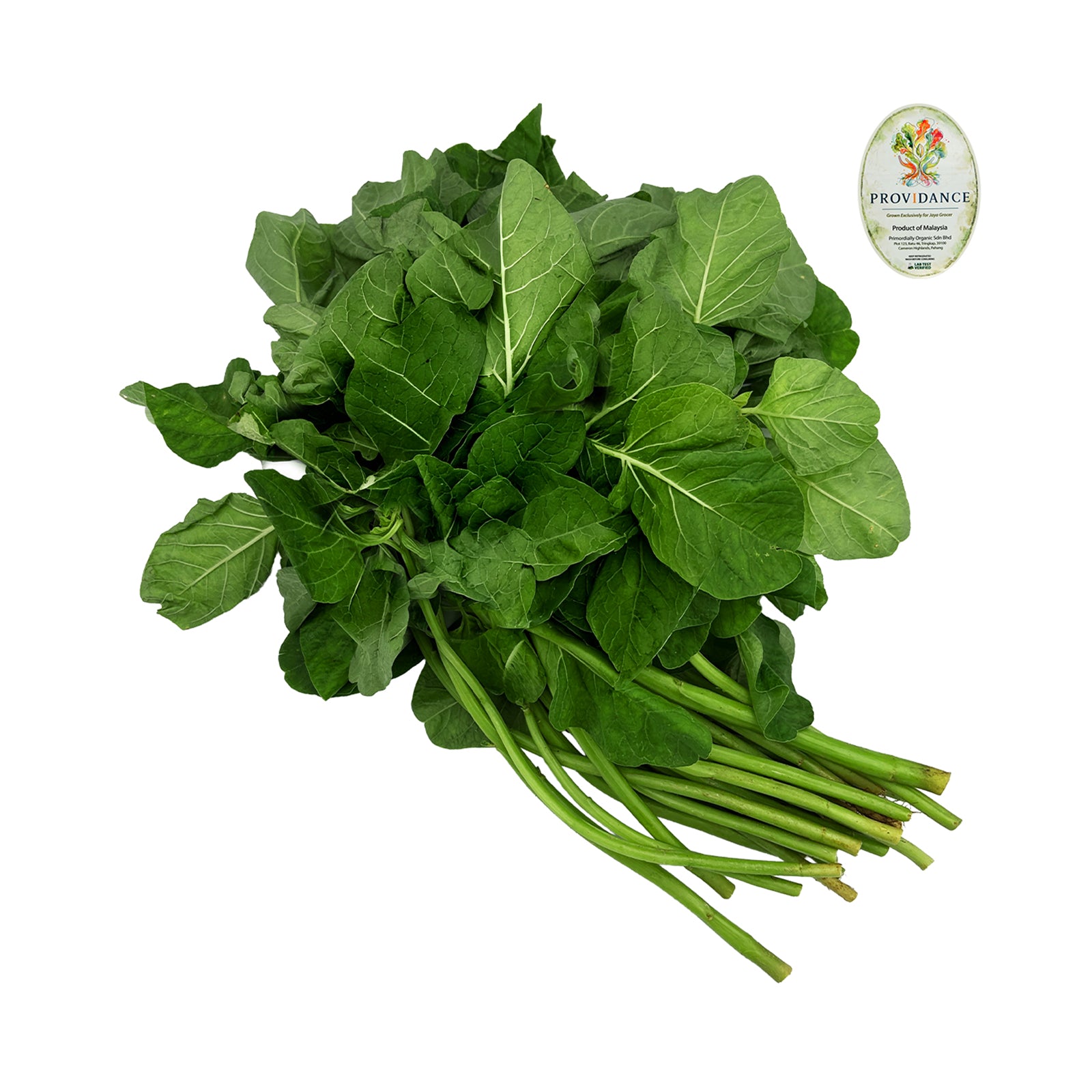 Spinach (Bayam Hijau) (Malaysia) 250g